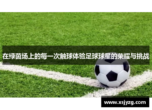 在绿茵场上的每一次触球体验足球球星的荣耀与挑战