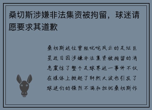 桑切斯涉嫌非法集资被拘留，球迷请愿要求其道歉